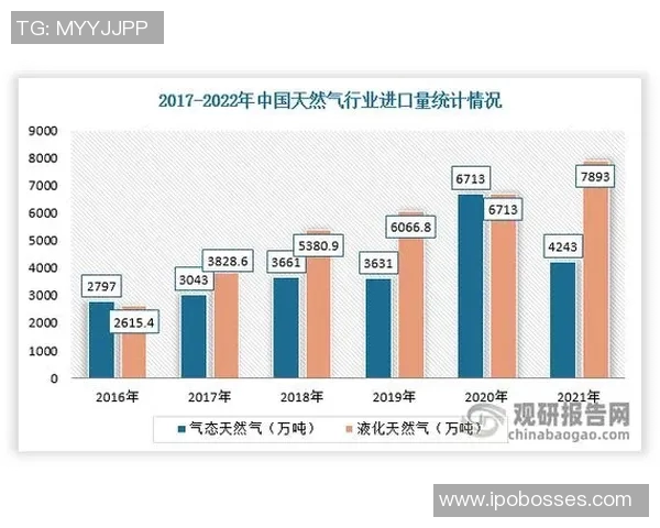 数据分析揭示LNG市场节奏变化及其对全球能源格局的影响 数据分析揭示LNG市场节奏变化及其对全球能源格局的影响