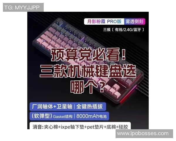 CSGO装备选购指南：最佳机械键盘推荐助你提升游戏体验与操作精准度