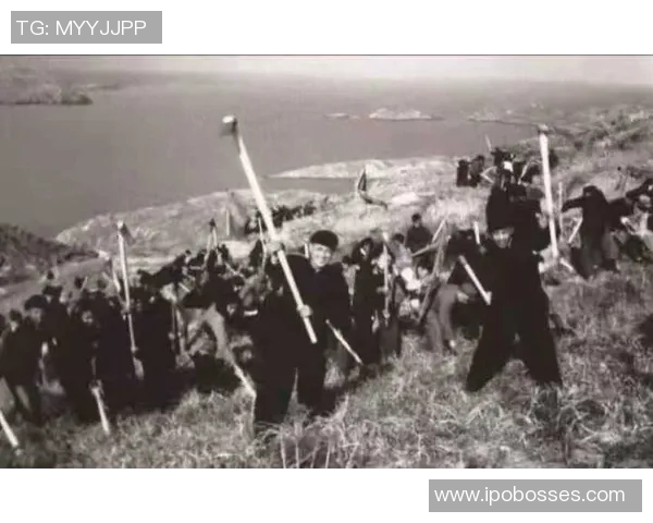 90vs指当确的背后故事与启示探讨